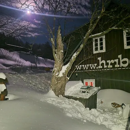 펜션 Horska Hribek *