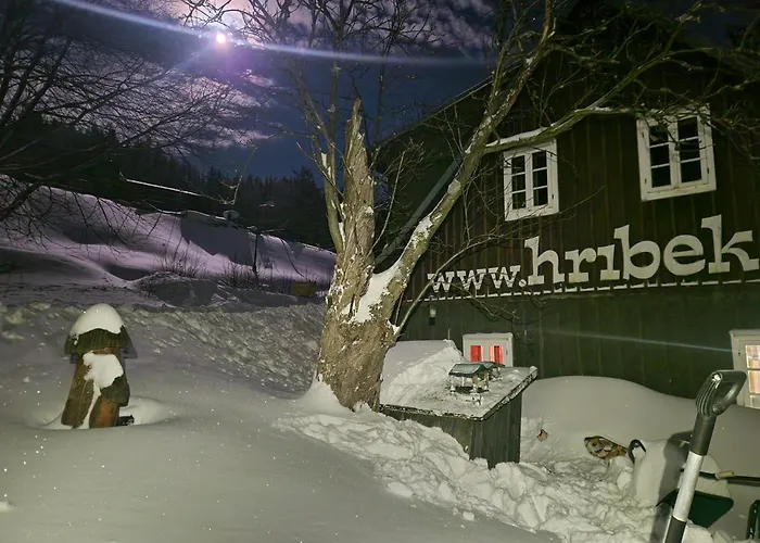 Feriehus Horska Hribek *