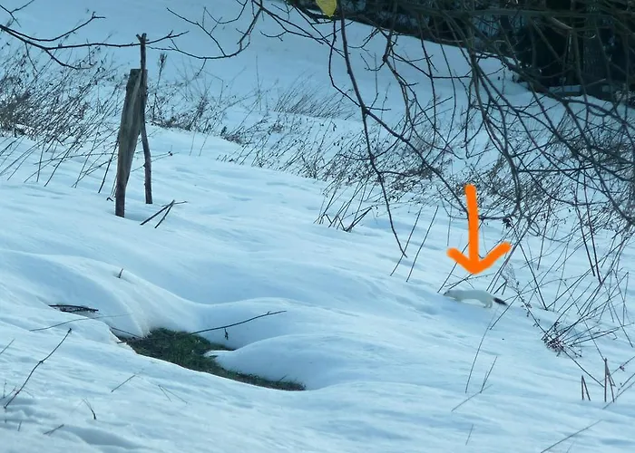 Feriehus Horska Hribek